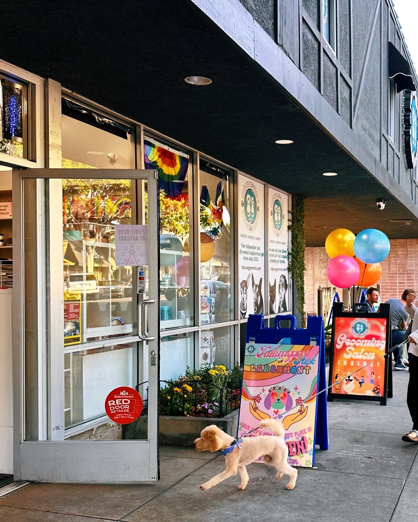 Tailwaggers Larchmont storefront with grooming salon signage and a dog walking past the entrance.
