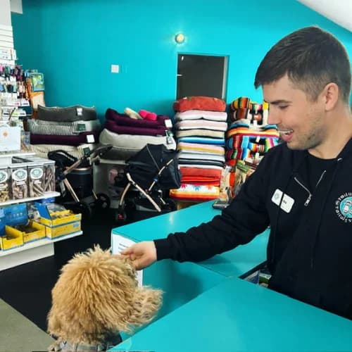 A Tailwaggers team member greeting a dog at the store counter.